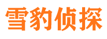 泰宁找人公司